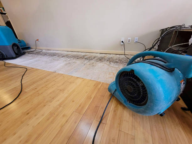 Professional Flood Damage Cleanup technician working in Trussville, AL